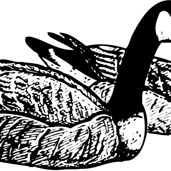 BIRD100 Thumbnail