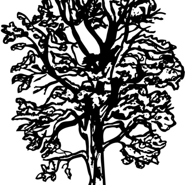 TREE0018 Thumbnail