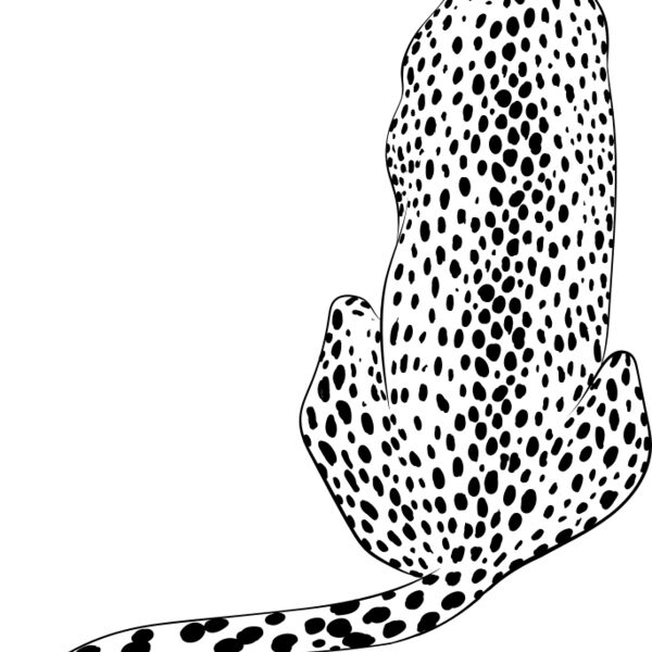 Leopard   Clipart 4 Thumbnail