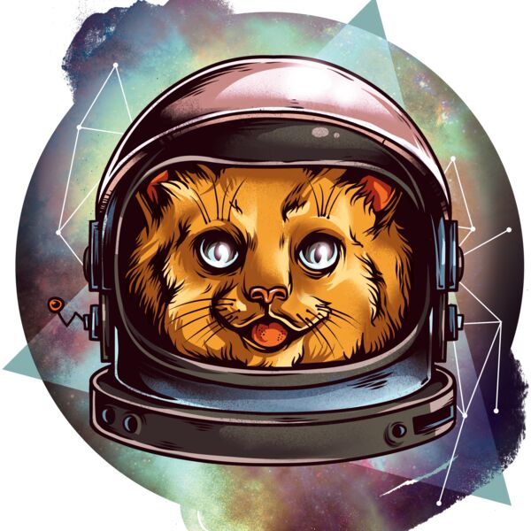Cosmic Cat Thumbnail